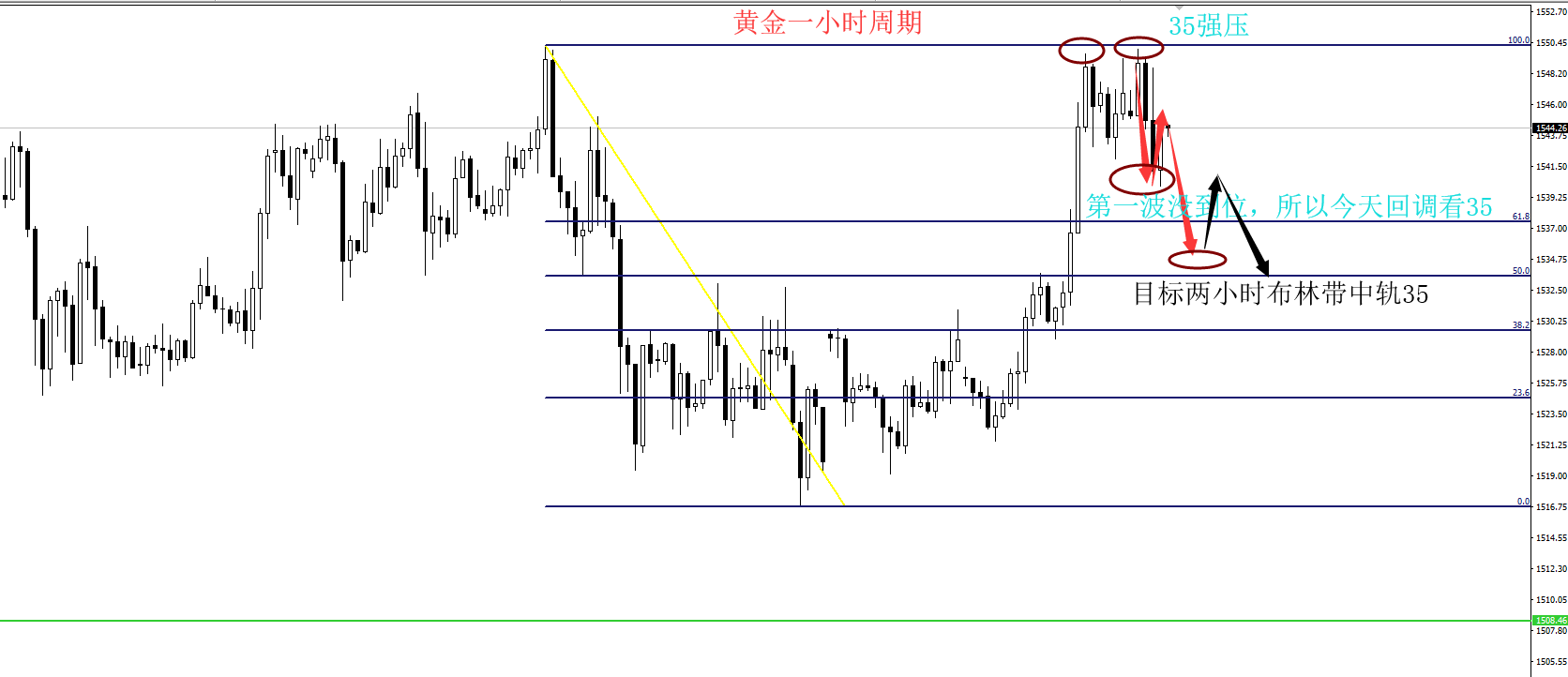 趙博文：黄金35支撑.png