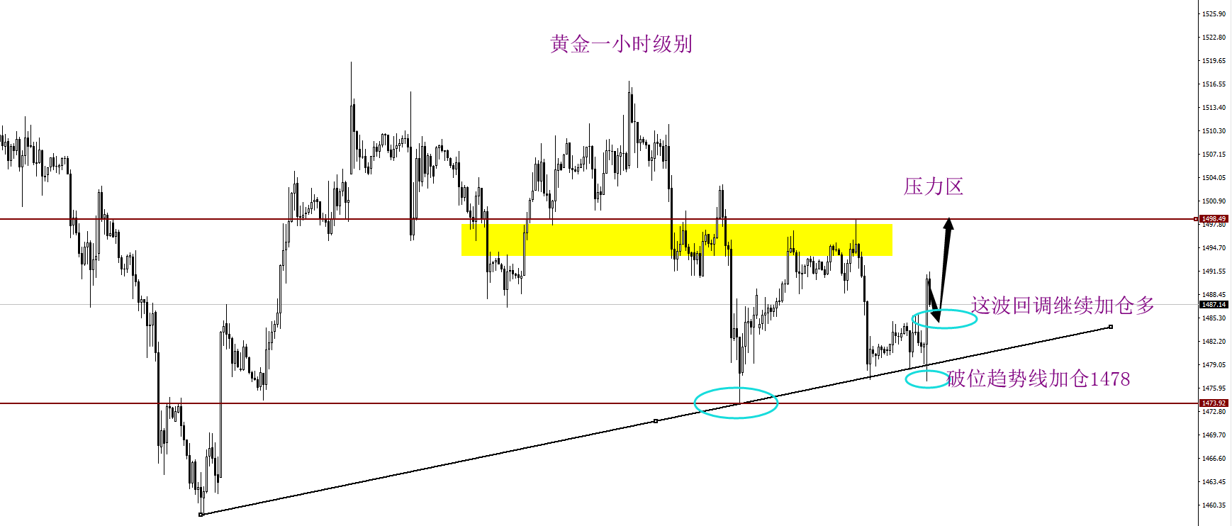 黄金一小时几倍哈哈哈.png
