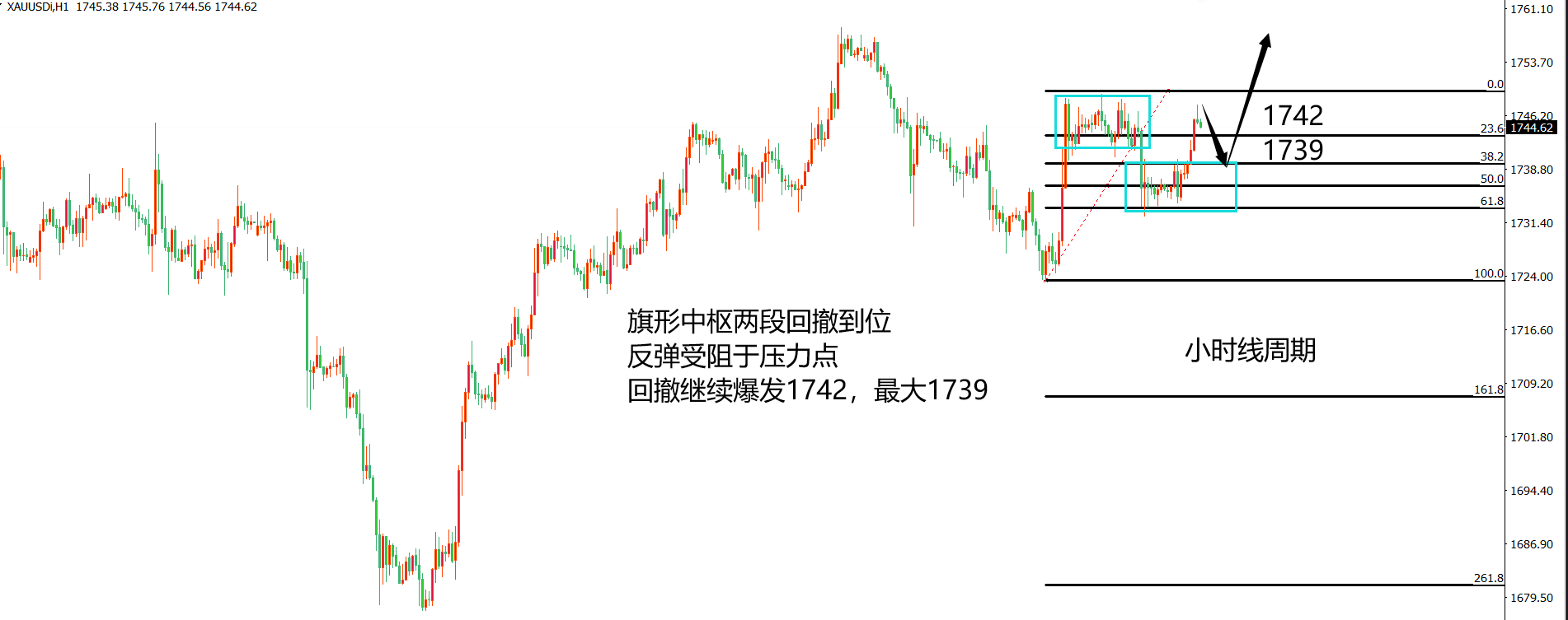 黄金5.png