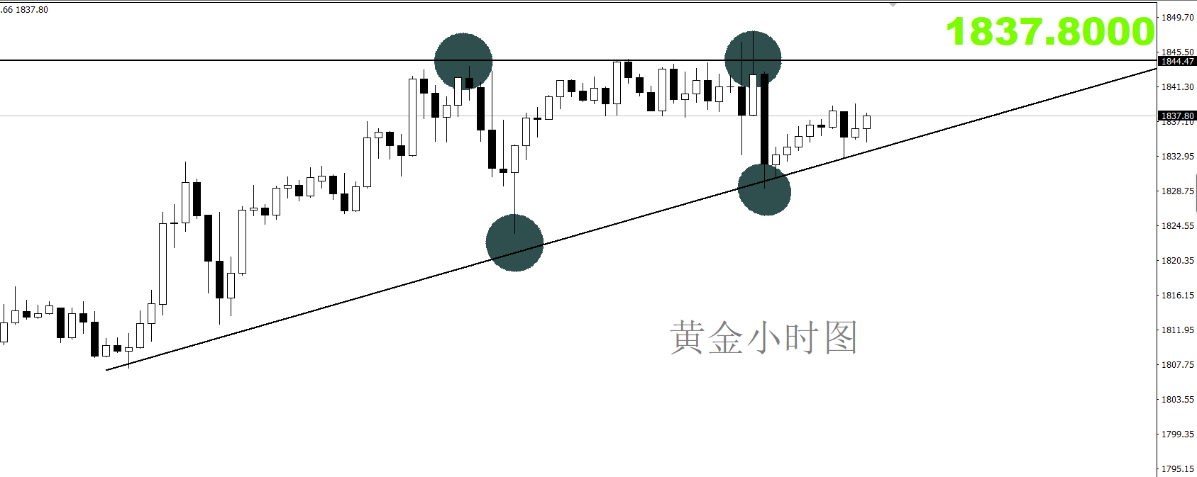 12.07黄金小时图.png