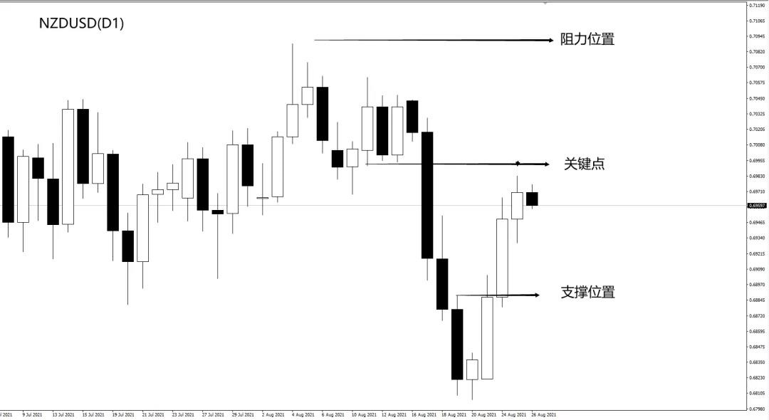 NZD.jpg