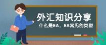 什么是外汇EA呢？工作的原理又是什么呢？送给不懂外汇EA的小白。