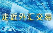 炒外汇如何避坑管理好自己的风险？分享几条炒外汇不得不知的几件事