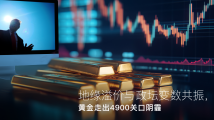 Amillex安迈每日汇评｜地缘溢价与政坛变数共振，黄金走出4900关口阴霾 
