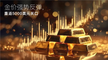 Amillex安迈每日汇评｜金价强势反弹，重返5000美元关口
