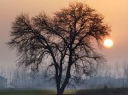 KCM Trade总是管不住手频繁交易V：你可能得了“交易多动症kohle019