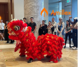 Amillex安迈每日汇评｜避险溢价与鹰派信号角力，黄金高位震荡 