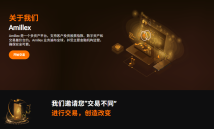 Amillex安迈｜不追求噱头，只求稳