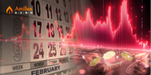 Amillex 视角｜2月复盘：关税“鹰”影下的流动性大洗牌，谁是最后赢家？