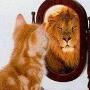 ieforex