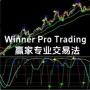 赢家专业交易法 赢家专业交易法